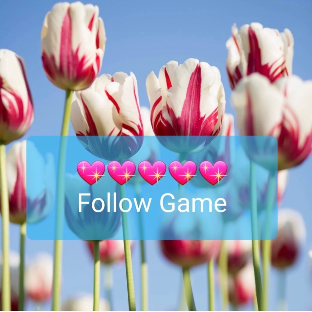 Let’s play!